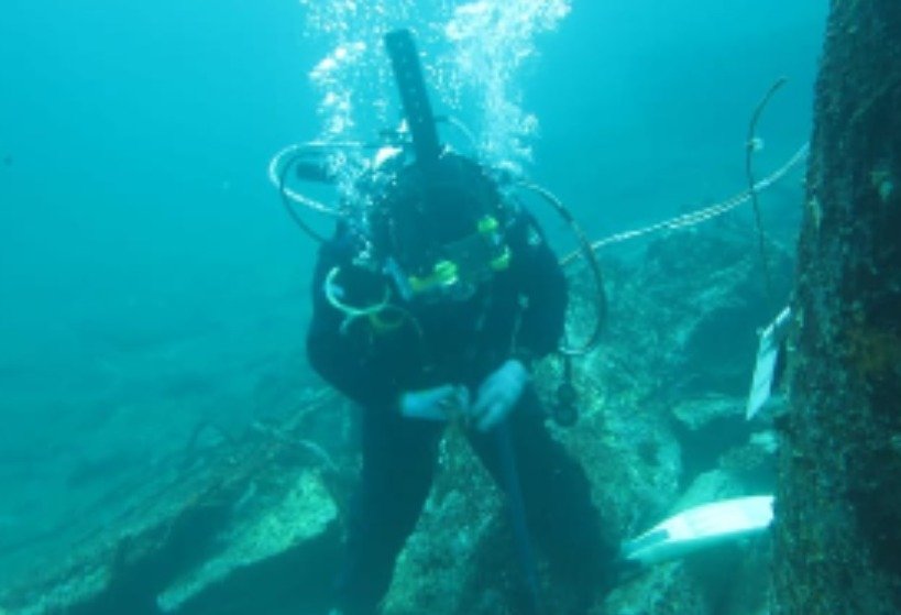 Marine & Underwater